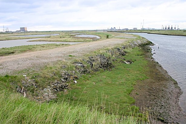 Greenabella marsh